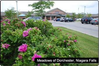 Meadows of Dorchester located at 6623 Kalar Rd, Niagara Falls, ON L2H 2T3 in Ontario